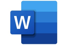 MS Word logo